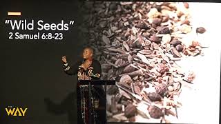 Wild Seeds by Pastor Donna Battle