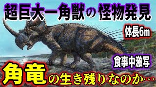 【ゆっくり解説】世界が震えた…アフリカで目撃＆撮影された一角獣の怪物は角竜の生き残りなのか【古代生物生存】