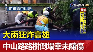 大雨狂炸高雄 中山路路樹倒塌幸未釀傷