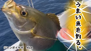 【旬魚】うまい魚を釣る。〜ジャンボイサギと幻のキンムロアジ・マムロ〜　TFC offshore fishing #61