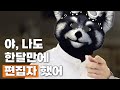 한달만에 편집으로 돈버는 개사기 스킬 [한달만에 편집자 ep.0]