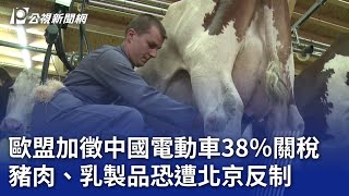 歐盟加徵中國電動車38％關稅 豬肉、乳製品恐遭北京反制｜20240614 公視新聞全球話