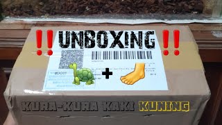 🔴 UNBOXING eps.2‼️Yellow Footed Tortoise