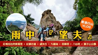 疫後重“山”  雨中“望夫”  | 香港行山 Hong Kong Hiking Vlog