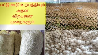 பட்டு கூடு உற்பத்தியும் அதன் விற்பனை முறைகளும் | Cocoon selling methods | sericulture | silkworm