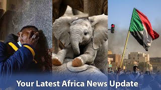 Africans Pissed off at Ukraine's War Recruit Calls, 22 Elephants Sold to UAE, New Sudan Protests