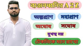 ব্যঞ্জনধ্বনির A - Z সহজে মনে রাখার কৌশল | ব্যঞ্জনধ্বনির সংজ্ঞা, শ্রেণীবিভাগ | #ব্যঞ্জনধ্বনি#tet