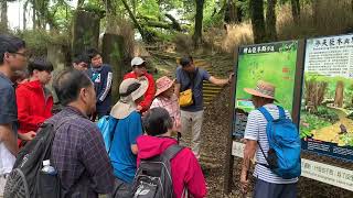 大鹿林道東線、檜山步道