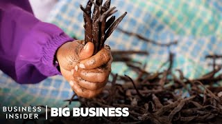 Vanilla Is The 2nd Most Expensive Spice. So Why Do Madagascar