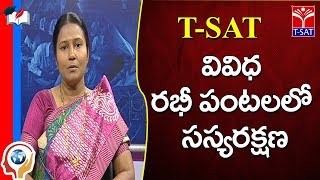 T-SAT || Rythu Mitra || వివిధ రభీ పంటలలో సస్యరక్షణ  || Live With  Agriculture scientists