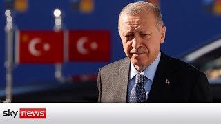 In full: Turkish President Recep Tayyip Erdogan holds NATO news conference