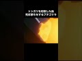 トンガリを射○し、過度な死体撃ちをするブタゴリラ shorts キテレツ大百科