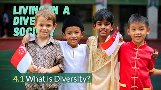 Social Studies: Chapter 4 Part 1 What is Diversity