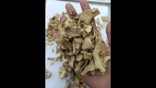 Cheap Chinese dried ginger slices are in stock in large quantity,small samples can be sent if needed