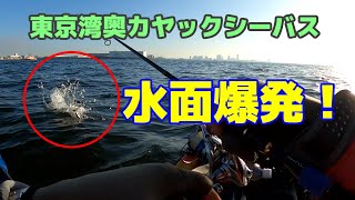 東京湾奥で水面爆発！ ＜東京湾奥カヤックシーバス＞