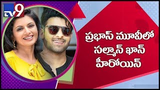 Bollywood actress Bhagyashree bags a crucial role in Prabhas new movie - TV9