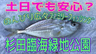 釣り動画ロマンを求めて　59釣目（杉田臨海緑地公園）