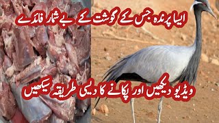 Koonj cooking |How to cook a demoiselle crane|کونج پکانے کا طریقہ |desi cooking |sraiki cook vlog