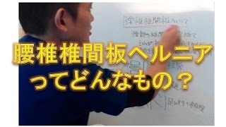 腰椎椎間板ヘルニアと治療（仙台市宮城野区の治療整体整骨院）