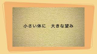 一寸法師（指に足りない一寸法師）　作詞 巌谷小波・作曲 田村虎蔵　うた　いはら よしのり　ピアノ　いのこ あんな