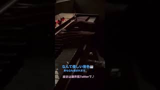 優しさ溢れる風さんのピアノ🎹