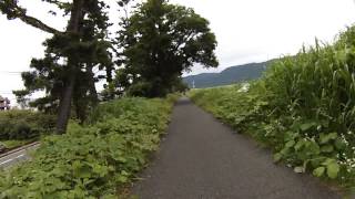 酒匂川　自転車道　サイクリング　上り