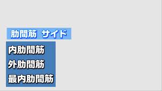 【筋膜リリース】リリーステクニック　NO.24　バックポジション　肋間筋サイド＃筋膜＃整体＃筋膜はがし