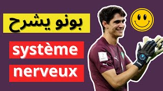 آخر فرصة تفهم فيها هاد الدرس  😱 le système nerveux 3ac 🔥 (motricité et réflexes)