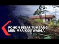 Pohon Tumbang Akibat Angin Kencang dan Hujan Deras di Menimpa Kios Warga dan Menutup Jalan!