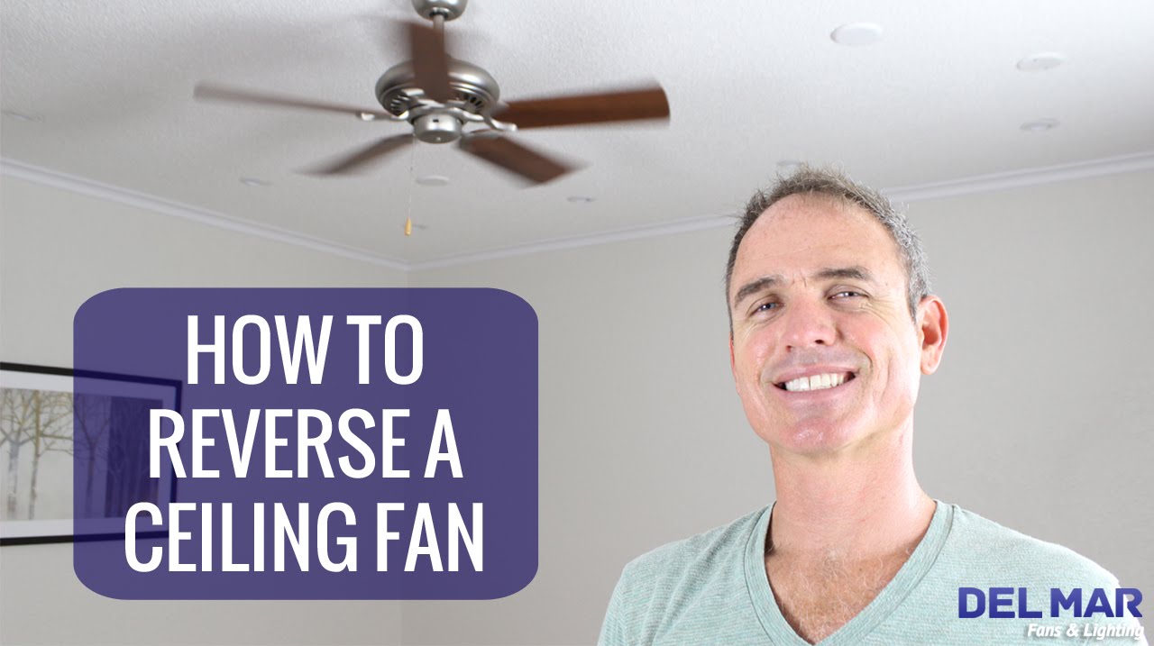 Reverse Ceiling Fan Direction With Remote Shelly Lighting