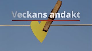 Veckans andakt - Vårt dop