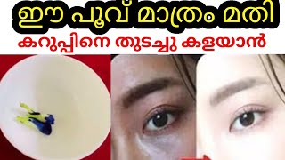 കറുപ്പിനെ തുടച്ചു കളയാൻ ഈ പൂവ് മതി കറുത്തപാടും കരുവാളിപ്പും 5മിനിറ്റിൽ ഇല്ലാതാകും 26