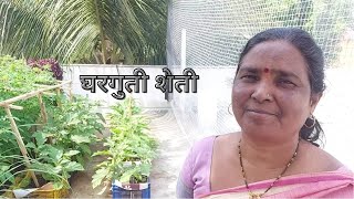 गच्चीवर घरगुती शेती.  Terrace Garden