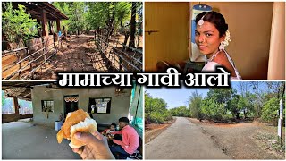 मामाच्या गावी आलो🥰|| तळवडे पाचल || Kokan Rajapur || #kokan