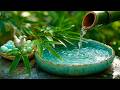 🔴 SPA MUSIC + WATER SOUNDS | Mental Health Recovery & Deep Relaxation After Watch Soccer World Cup