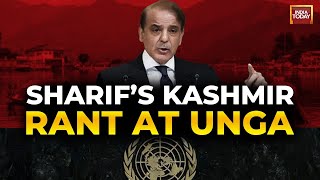 Shehbaz Sharif Speech At UNGA | Pakistan PM Raises Kashmir At UNGA | UN Live