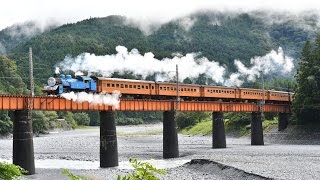 大井川鐵道 トーマス走った！ 2016 19  2016年10月8日