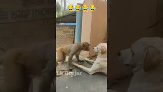 Monkey VS Dog | Full Comedy Video| Lk Gurjar