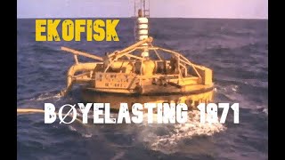 Bøyelasting - Ekofisk 1971.