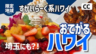 【地域限定グルメ】すかいらーくハワイ？！埼玉にもあった！？ラ・オハナのラグジュアリー