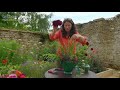 The Secret to Fresh Cut Flowers | Cutting Garden Tips