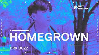 Homegrown: A VCT Pacific Documentary Series // DRX BuZz