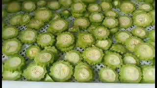 Bitter gourd dryer/Bitter gourd drying box/Fruit and vegetable drying