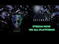 alan j celebrate official lyric video