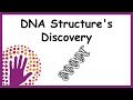 DNA Structure's Discovery - Explained simply