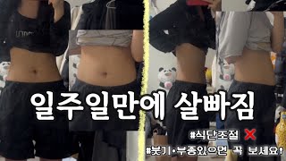 일주일만에 급찐급빠! 연말에 찐 살 관리하기 | 직접 먹어보고 남기는 찐 후기 ✨ 붓기•부종 추천 ! (ft.뮤디트 브로멜라인)