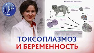 ТОКСОПЛАЗМОЗ и БЕРЕМЕННОСТЬ. Пути заражения, диагностика и профилактика токсоплазмоза.