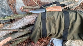 Gathering Hemlock Kindling with Ken Nata