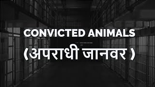 Convicted Animals (अपराधी जानवर ) in Hindi .. Apradh kar saja paane wale jaanwar