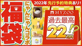 【2022年】猫との生活がもっと楽しくなる福袋！！先行予約開始しました！